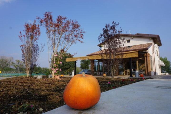 Agriturismo Campogrande Carpaneto Piacentino Exteriér fotografie